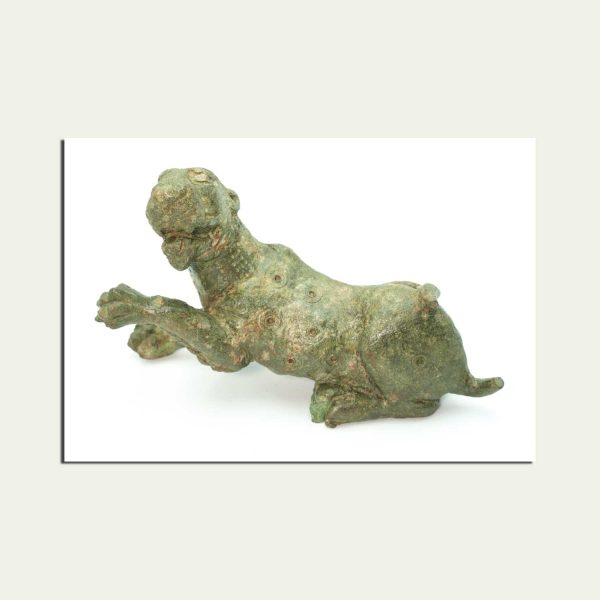 Cartolina "Leone Bronzeo"